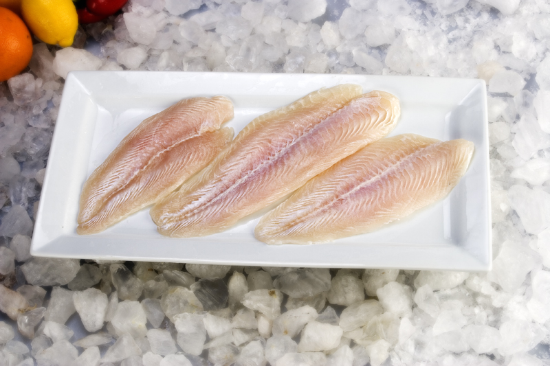 Dory Fillet